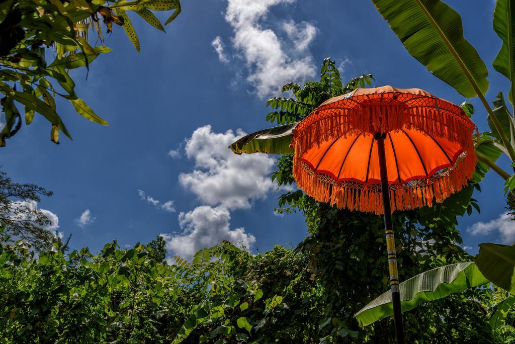 Taman Nauli Boutique Rooms Canggu Exteriér fotografie