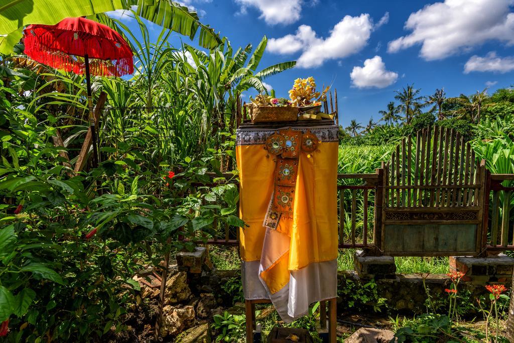 Taman Nauli Boutique Rooms Canggu Exteriér fotografie
