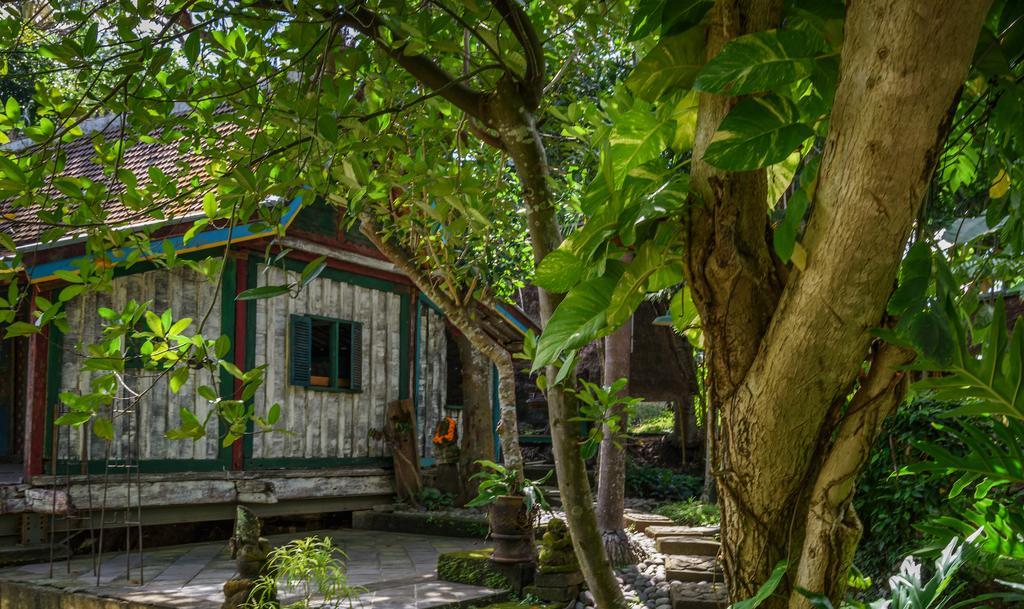 Taman Nauli Boutique Rooms Canggu Exteriér fotografie